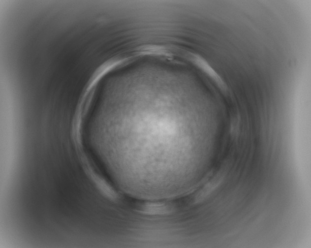 X0000113861378200910011012
