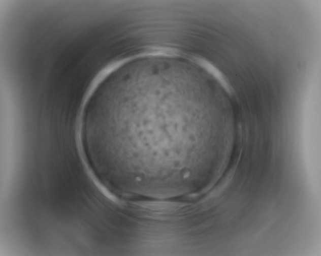 X0000113861379200910011012