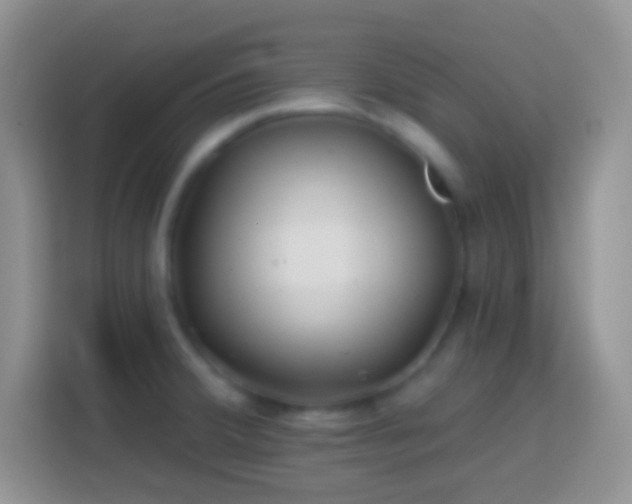 X0000113861380200910011012