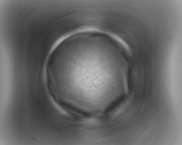 X0000113861382200910011012