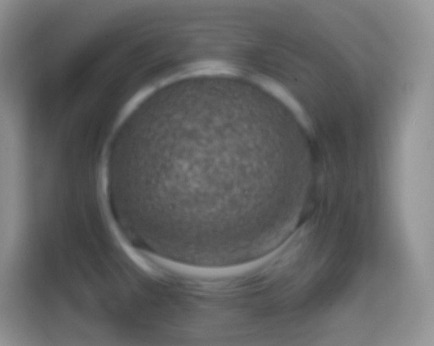X0000113861383200910011012