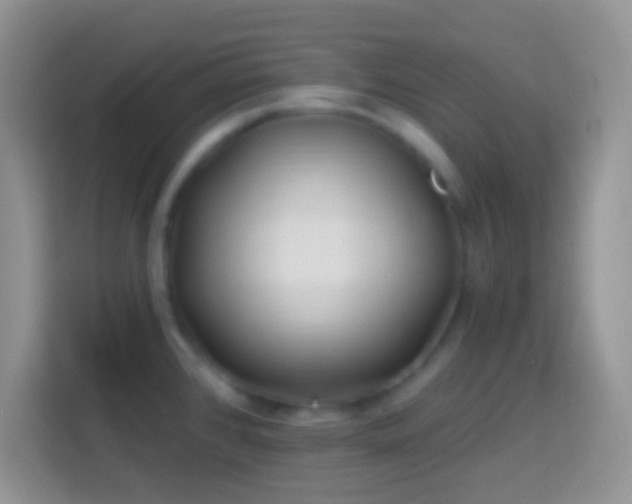 X0000113861384200910011012