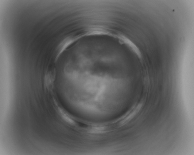 X0000113861385200910011012