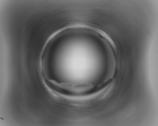 X0000113861388200910011012