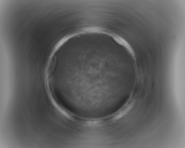 X0000113861389200910011012