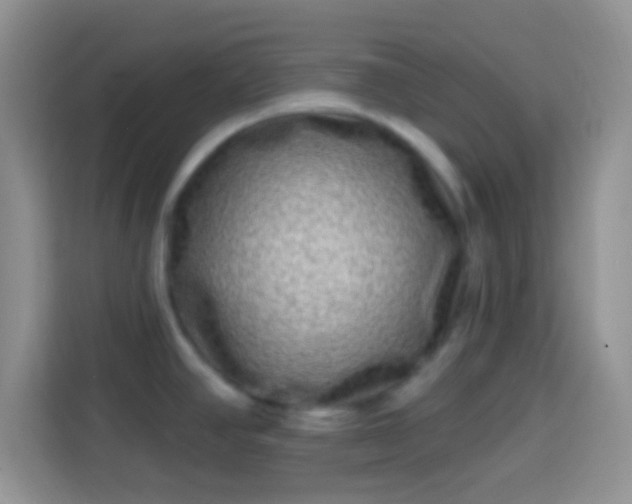 X0000113861390200910011012