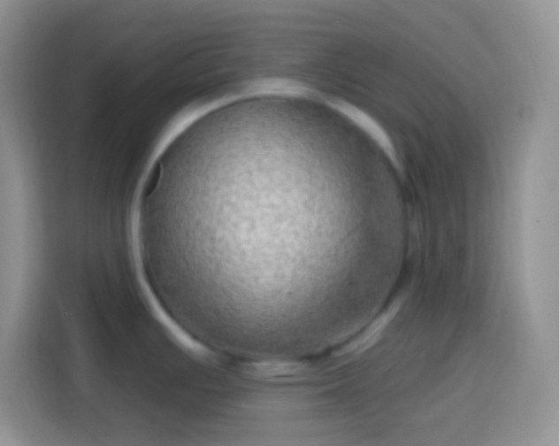 X0000113861391200910011012