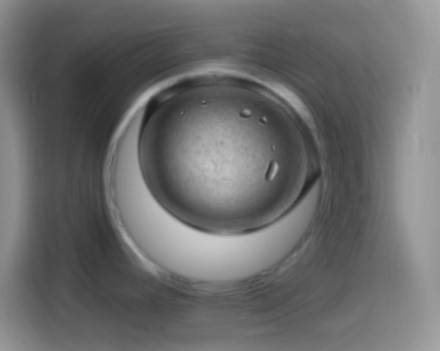 X0000113861392200910011012