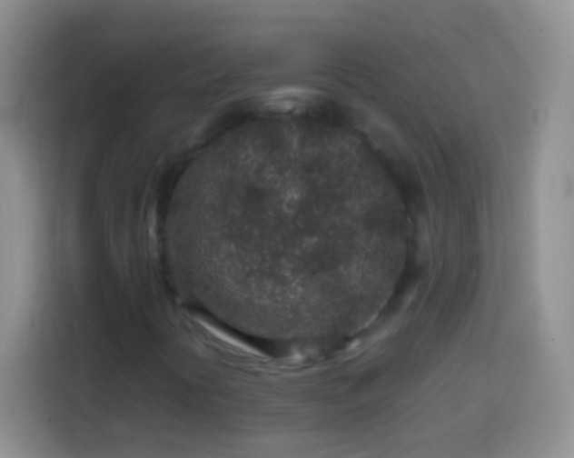 X0000113861394200910011011