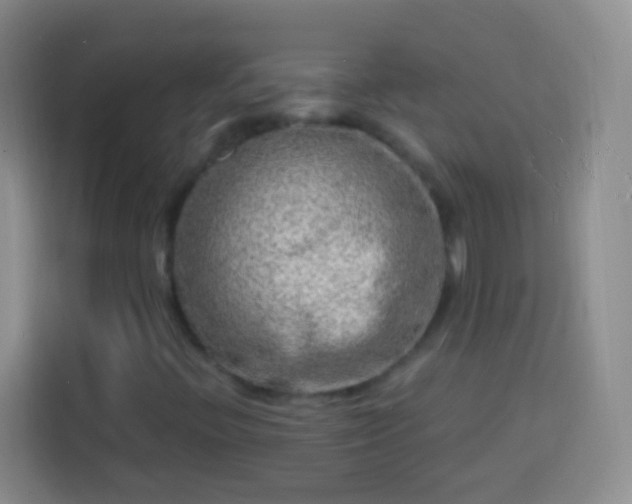 X0000113861396200910011011