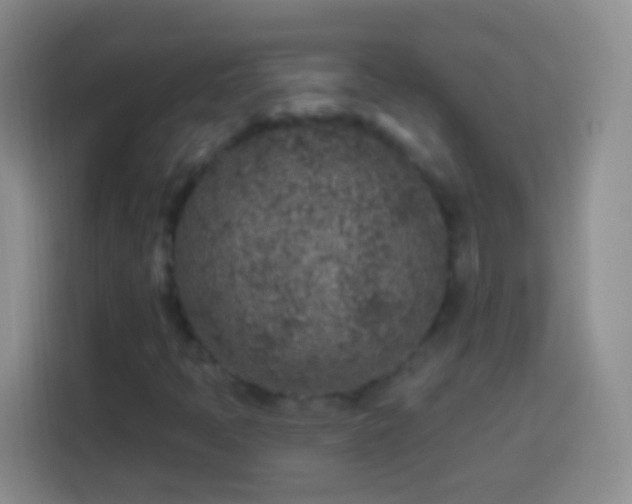 X0000113861397200910011012