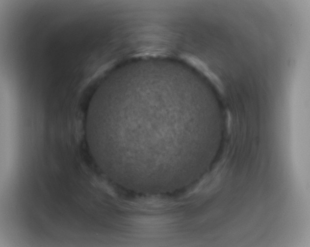 X0000113861399200910011012