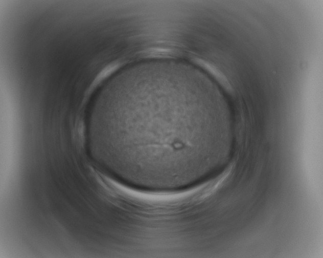 X0000113861402200910011012