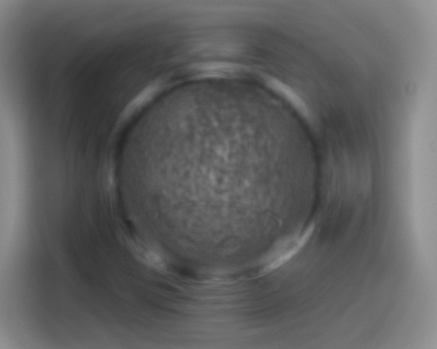 X0000113861403200910011012