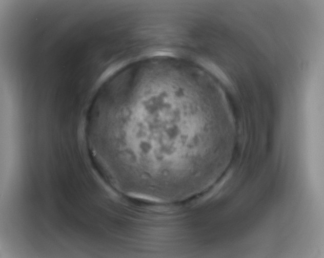 X0000113861404200910011012