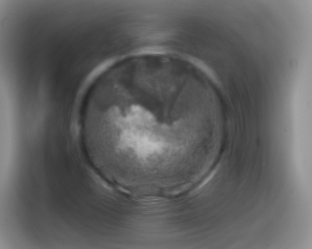 X0000113861406200910011012