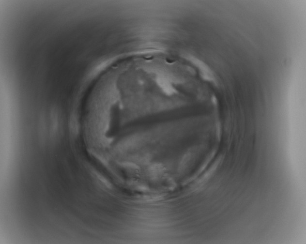 X0000113861407200910011012