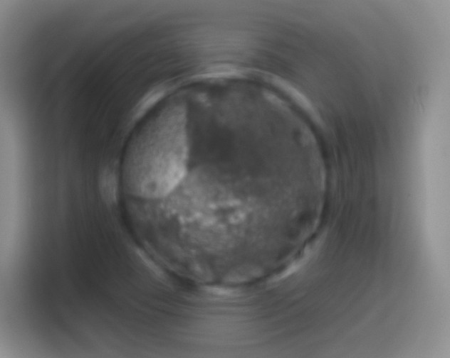 X0000113861409200910011012