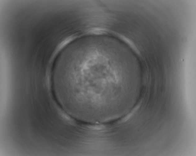 X0000113861410200910011012