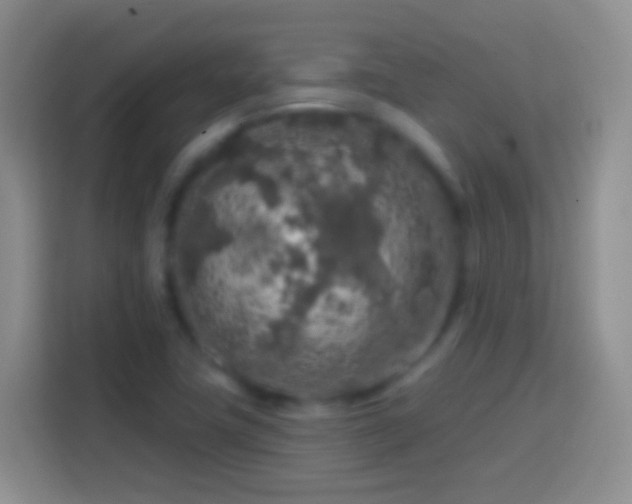 X0000113861411200910011012