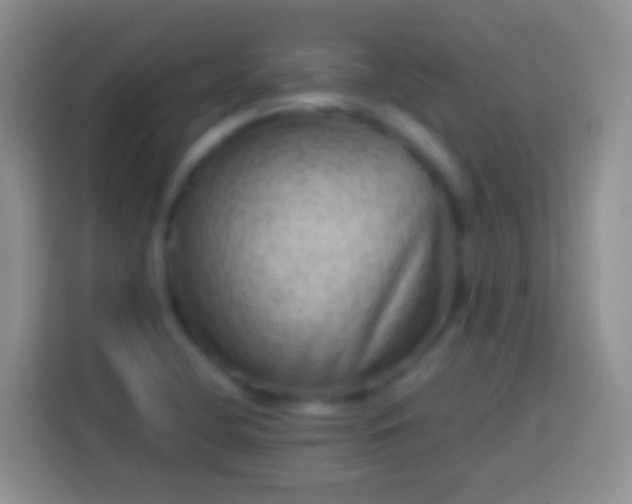 X0000113861412200910011012