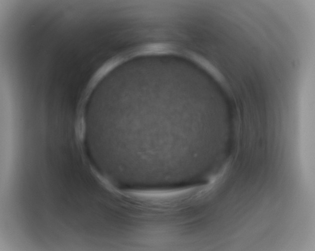 X0000113861413200910011012