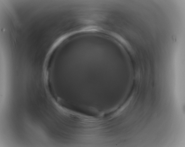 X0000113861414200910011012