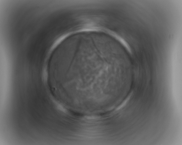 X0000113861415200910011012