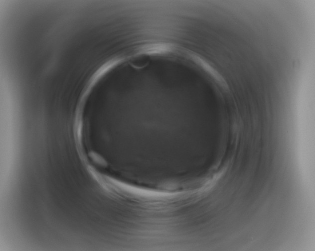 X0000113861418200910011012