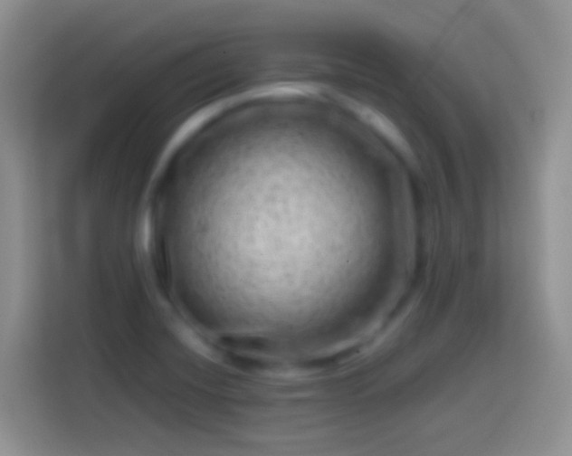 X0000113861420200910011012