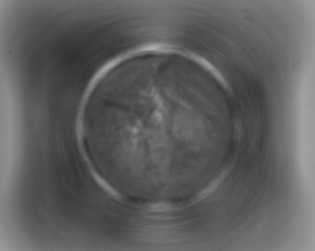 X0000113861421200910011012