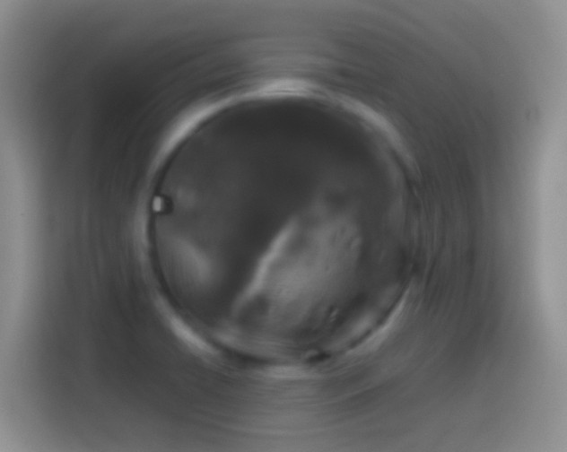 X0000113861422200910011012