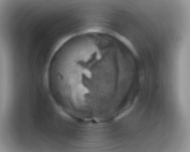 X0000113861423200910011012