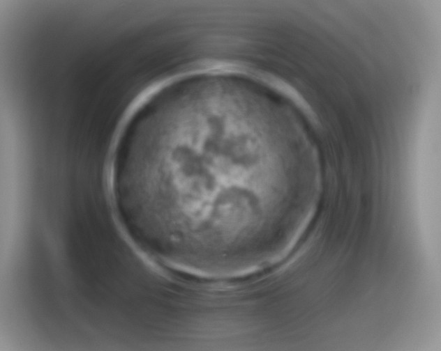 X0000113861424200910011012