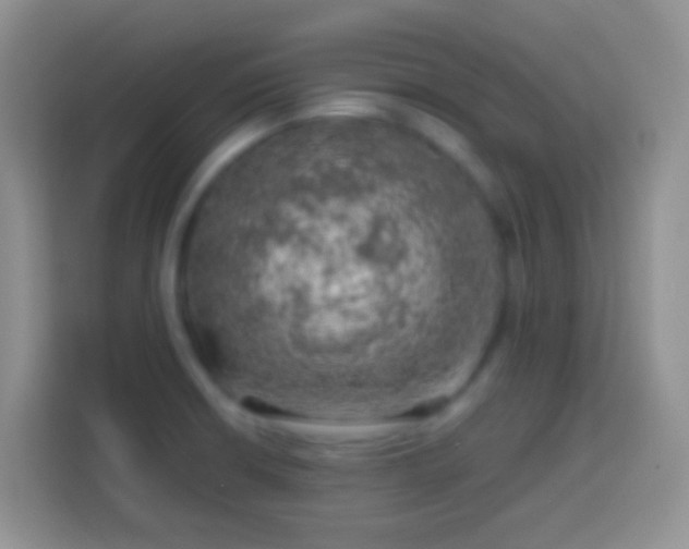 X0000113861426200910011012