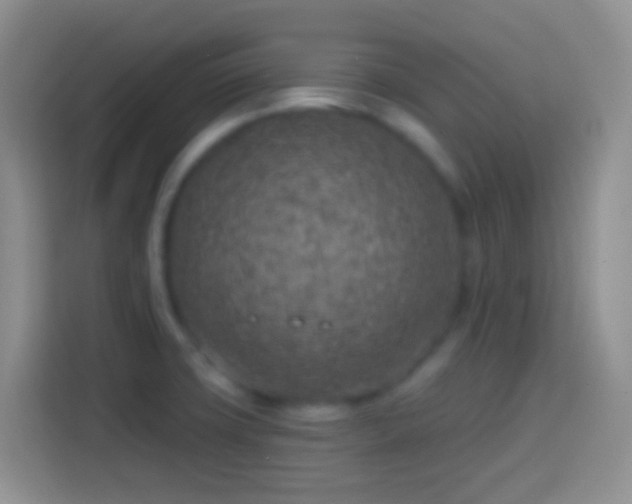 X0000113861427200910011012