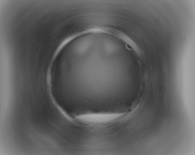 X0000113861428200910011012