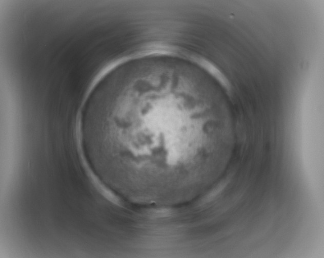 X0000113861431200910011012
