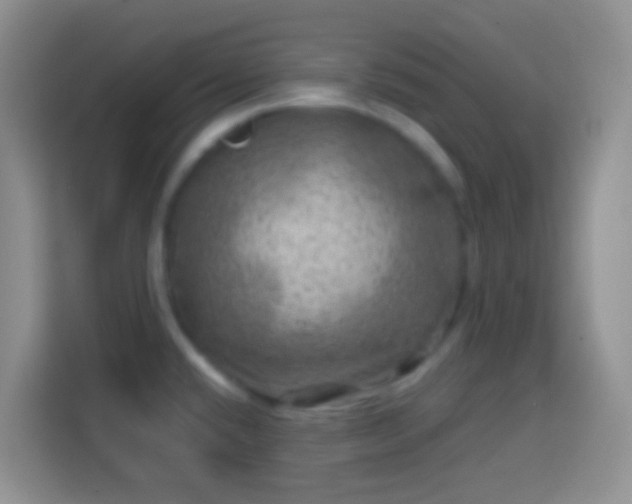 X0000113861432200910011012