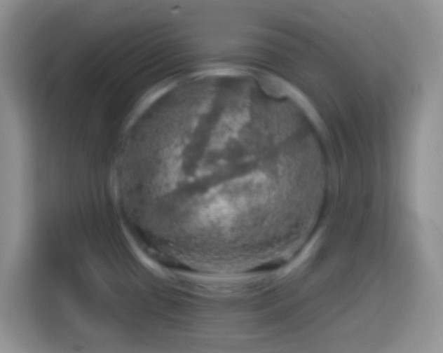 X0000113861433200910011012