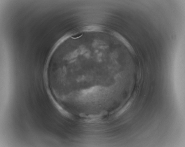 X0000113861434200910011012