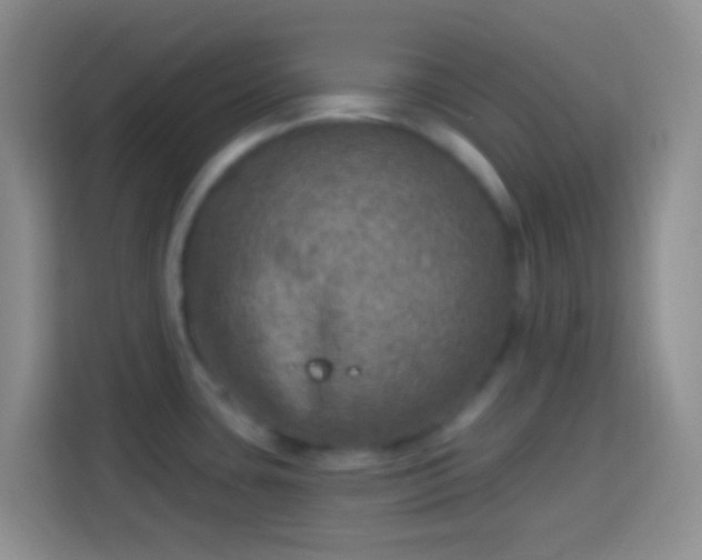 X0000113861435200910011012