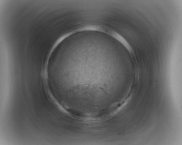 X0000113861436200910011012