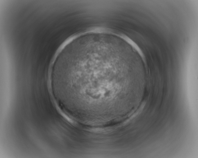 X0000113861437200910011012