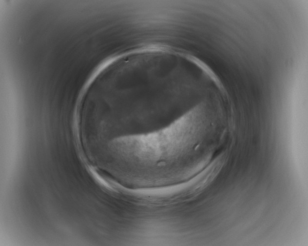 X0000113861438200910011012