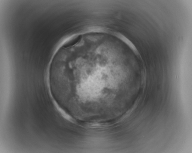 X0000113861439200910011012
