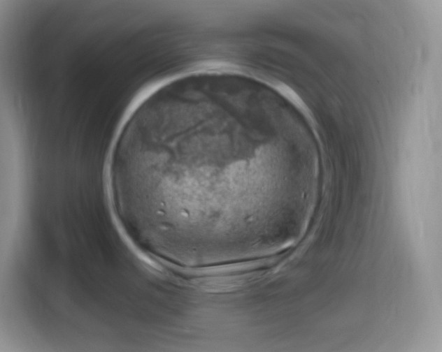 X0000113861440200910011012
