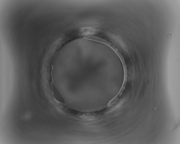 X0000113861441200910011011