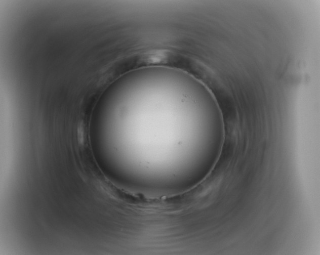 X0000113861442200910011011