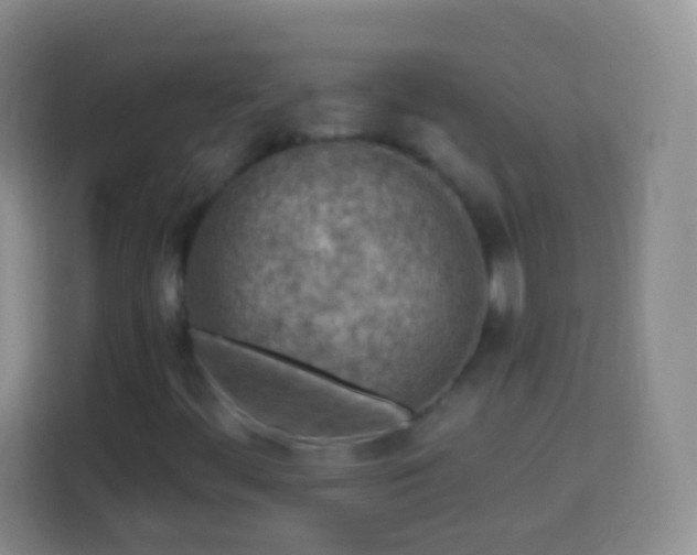 X0000113861444200910011011